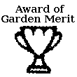 award of merit